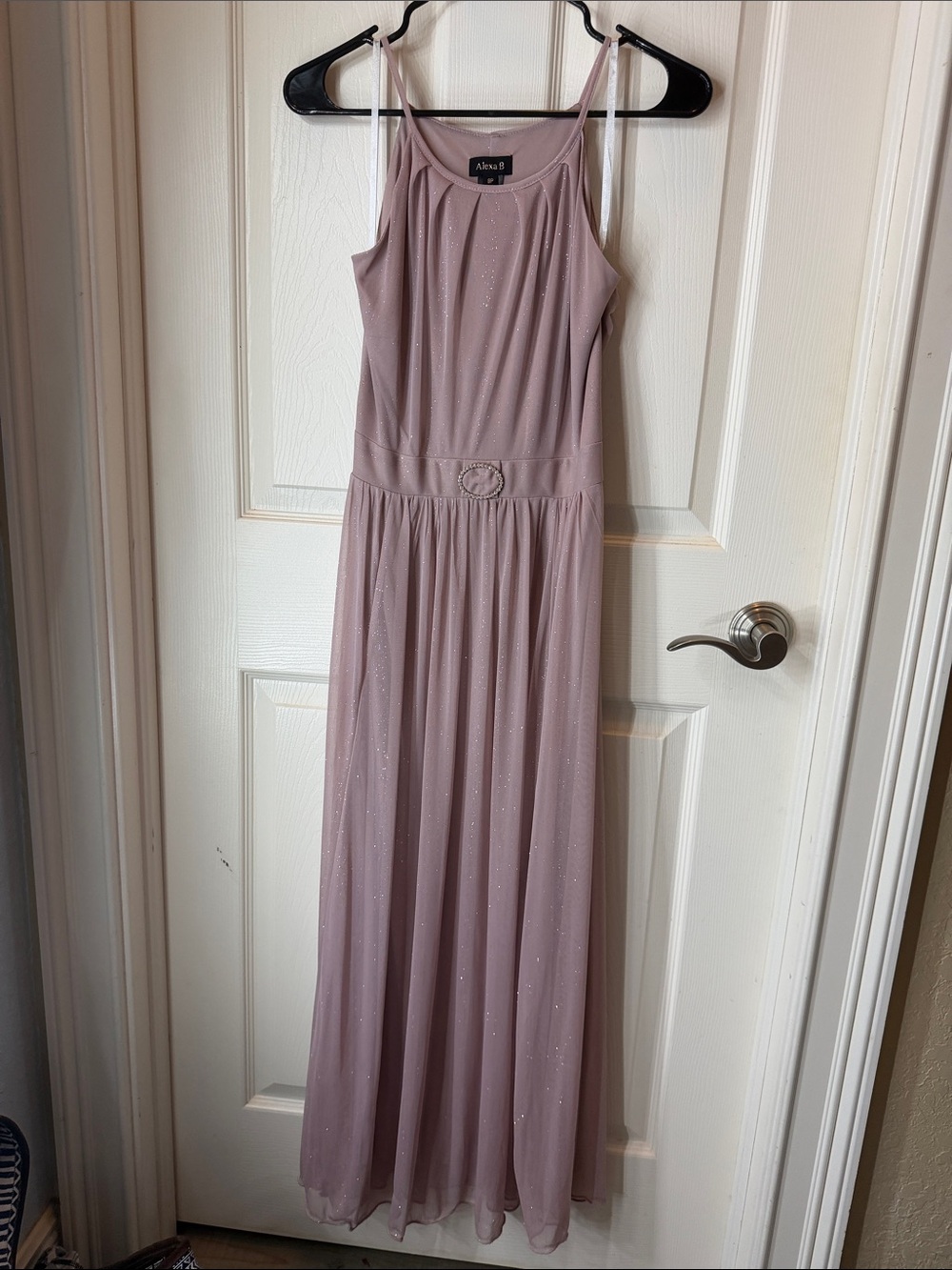 Alexa B Rose Glitter Maxi Dress